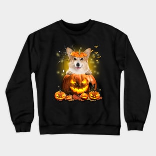 Corgi Spooky Halloween Pumpkin Dog Head Crewneck Sweatshirt